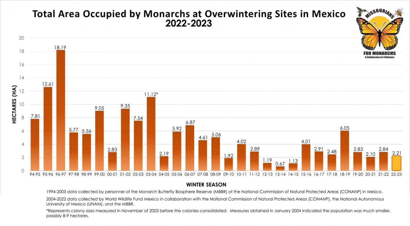 20222023 Overwintering Monarch Population Declines 22 Missourians