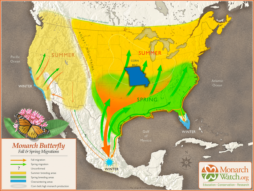 20222023 Overwintering Monarch Population Declines 22 Missourians